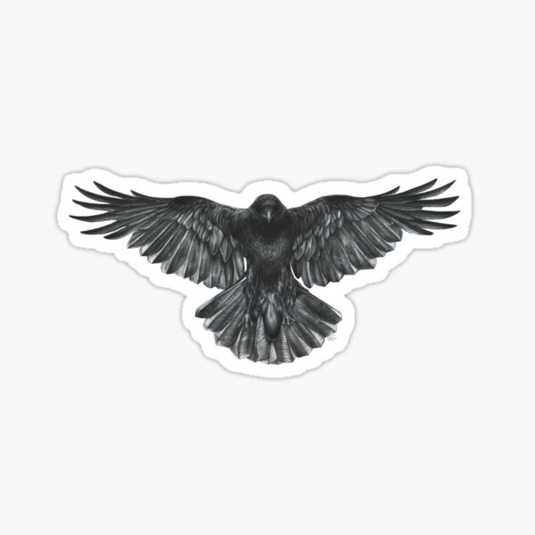 Sticker Ski Black Crows - ref.d18989