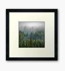 Misty Forest Beauty Framed Print