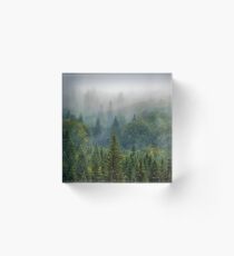 Misty Forest Beauty Acrylic Block