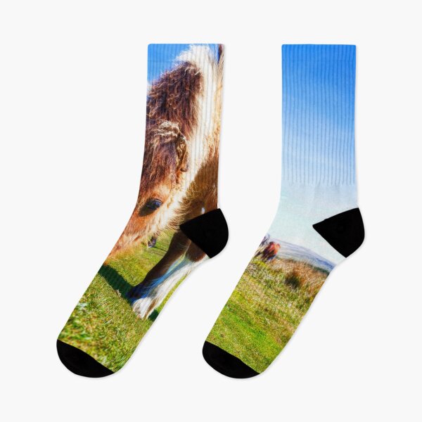 Item preview, Dartmoor Ponies, Devon, UK designed and sold by Paul Thompson Photography.