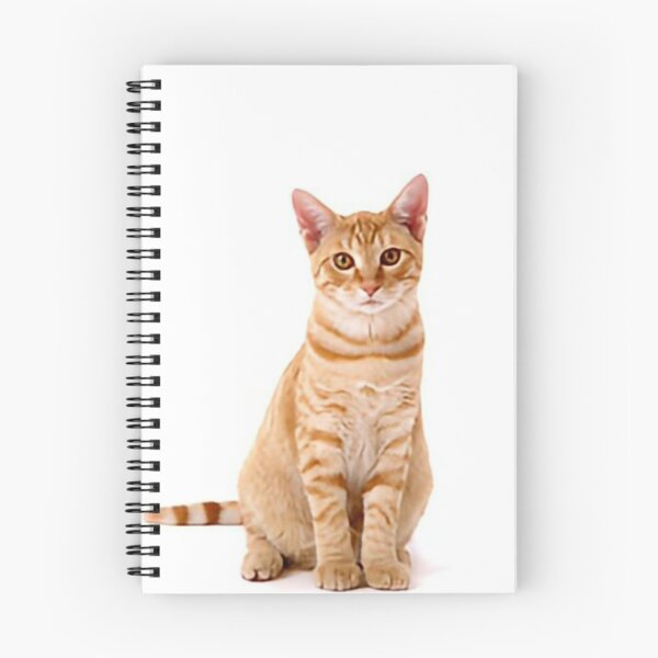 Item preview, Cat looking designed and sold by BenDover90.