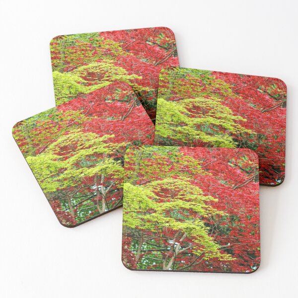 Item preview, autumn designed and sold by hdconnellyphoto.