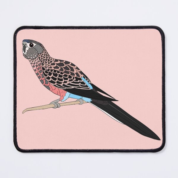 Item preview, Bourkes Parakeet designed and sold by nolessjess.