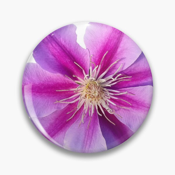 Item preview, Purple Clematis  designed and sold by AmandaFaye99.