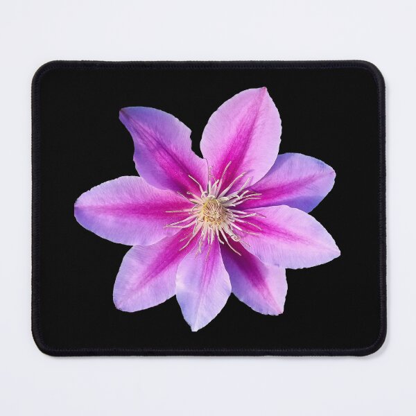 Item preview, Purple Clematis  designed and sold by AmandaFaye99.