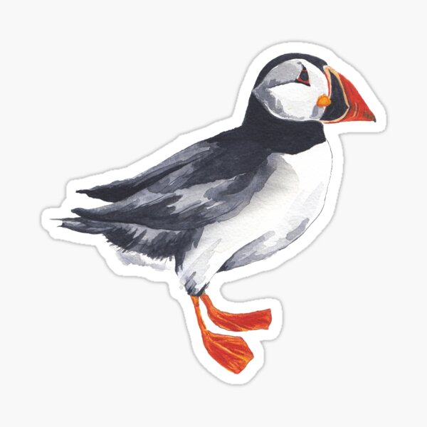 Puffin Sticker
