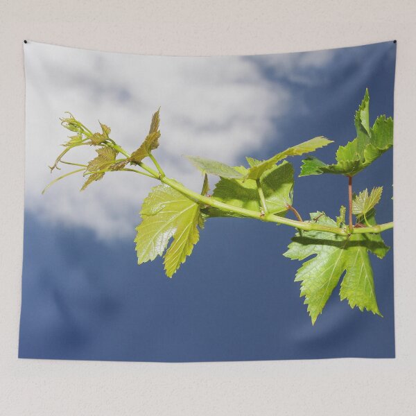 Artikelvorschau, Reaching Skyward entworfen und verkauft von heatherfriedman.