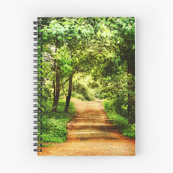 Item preview, path designed and sold by hdconnellyphoto.