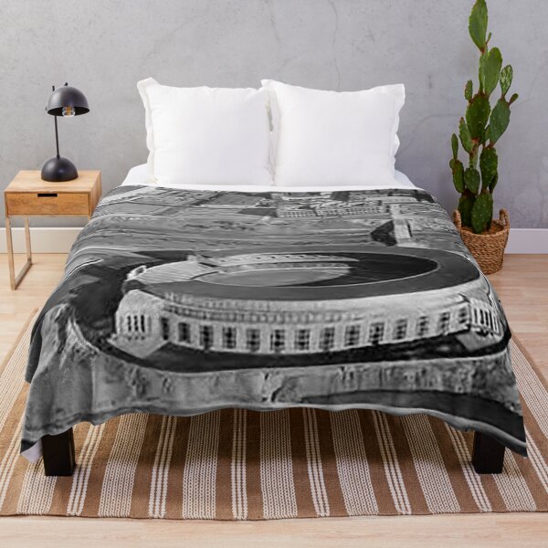 Item preview, Cleveland Municipal Stadium, The Mistake by the Lake, Cleveland Baseball Stadium, Old Ballparks, Old Stadiums, Bleachers, Dog pound designed and sold by Nostrathomas66.