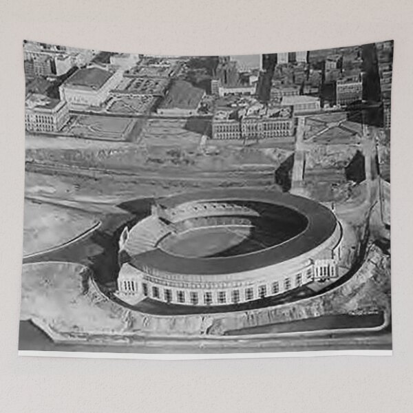 Item preview, Cleveland Municipal Stadium, The Mistake by the Lake, Cleveland Baseball Stadium, Old Ballparks, Old Stadiums, Bleachers, Dog pound designed and sold by Nostrathomas66.
