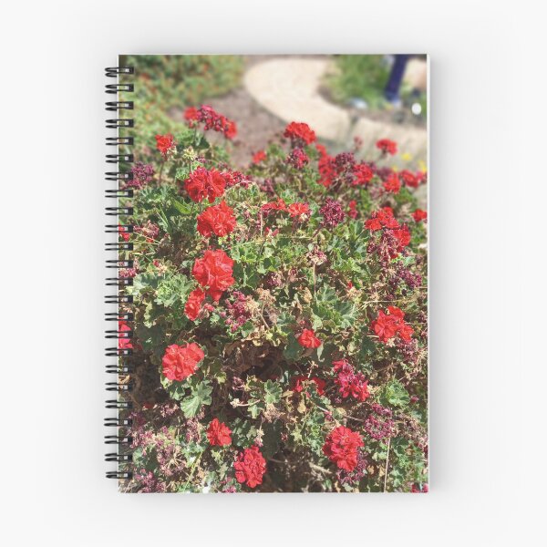 Item preview, PELARGONIUM BUSH designed and sold by 81BCLaLa.