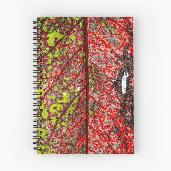 Item preview, Leaf Colored designed and sold by Daniel Janda.