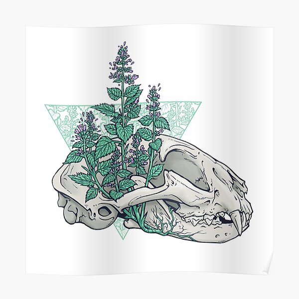 catnip Poster