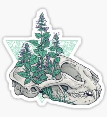 catnip Sticker