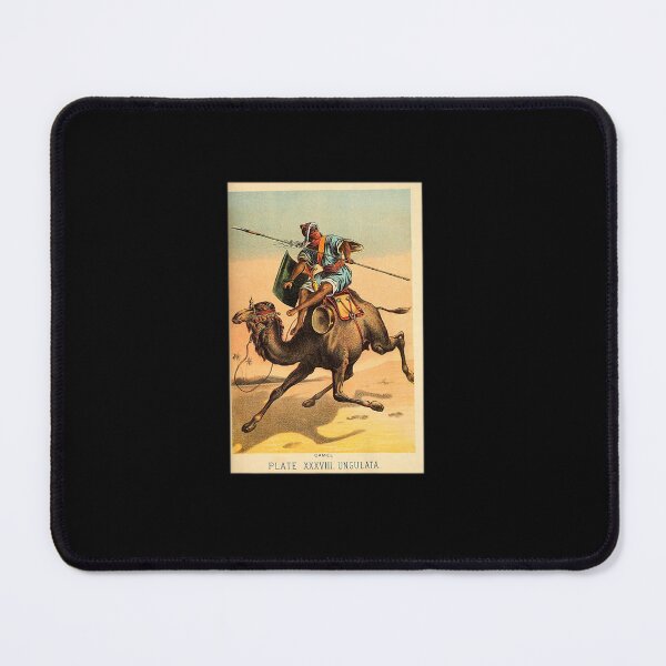 Item preview, CAMEL DESERT CAMELRIDER VINTAGE ANIMAL LITHOGRAPH designed and sold by sobriowslen.