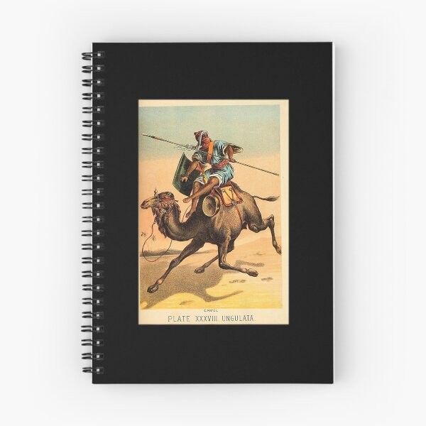 Item preview, CAMEL DESERT CAMELRIDER VINTAGE ANIMAL LITHOGRAPH designed and sold by sobriowslen.