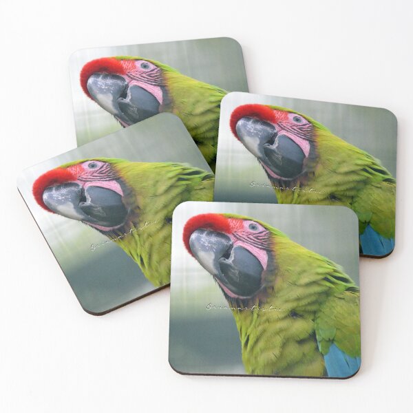 Item preview, Smiling Parrot designed and sold by OrianArtistic.