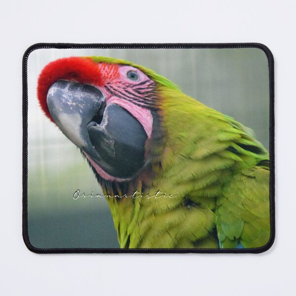 Item preview, Smiling Parrot designed and sold by OrianArtistic.