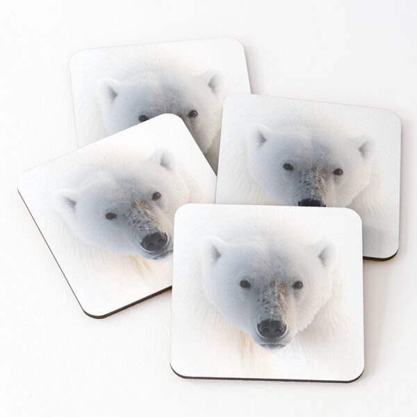 Item preview, Polar Bear Portrait designed and sold by James Stone Photography.