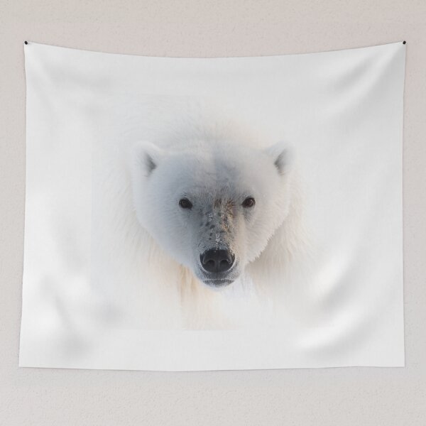 Item preview, Polar Bear Portrait designed and sold by James Stone Photography.