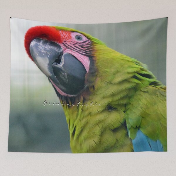 Item preview, Smiling Parrot designed and sold by OrianArtistic.