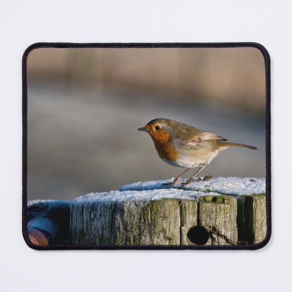 Item preview, Winter Robin Panorama designed and sold by Violaman.