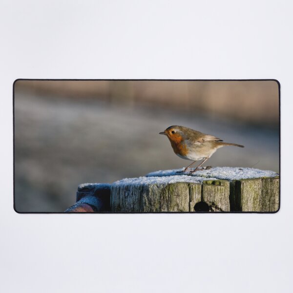 Item preview, Winter Robin Panorama designed and sold by Violaman.