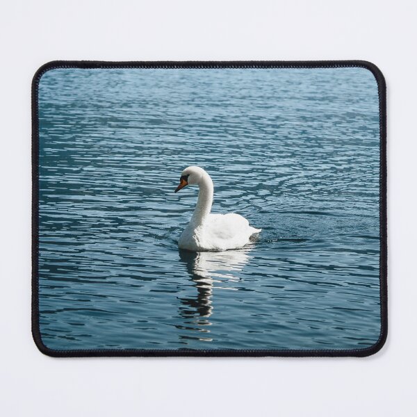 Item preview, Young white swan designed and sold by marygov.