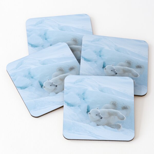 Item preview, Polar Bear Playtime 3 designed and sold by James Stone Photography.
