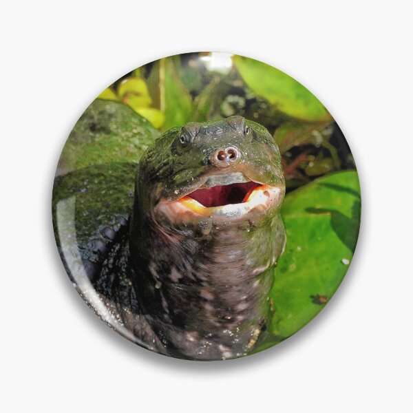 Item preview, Turtle Face designed and sold by Dead-Moroz.