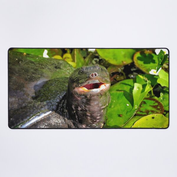 Item preview, Turtle Face designed and sold by Dead-Moroz.