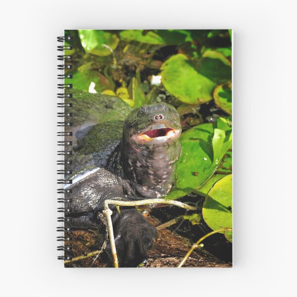 Item preview, Turtle Face designed and sold by Dead-Moroz.