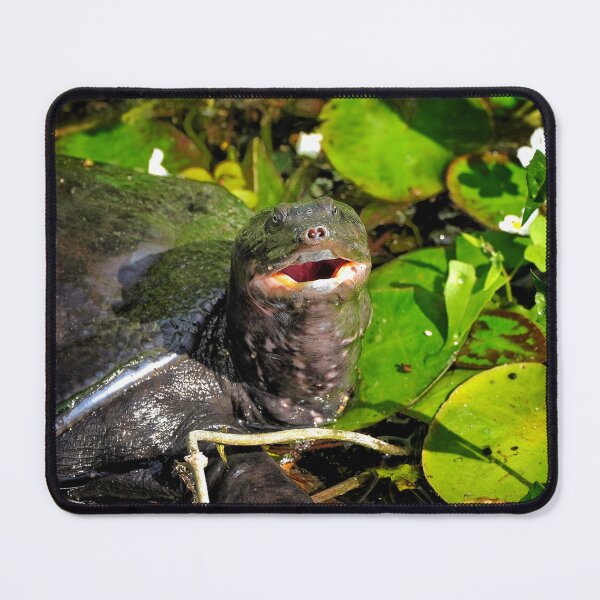 Item preview, Turtle Face designed and sold by Dead-Moroz.