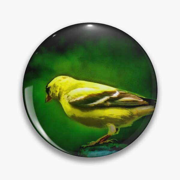 Artikelvorschau, Yellow Finch at the Feeder entworfen und verkauft von Jack McCabe.