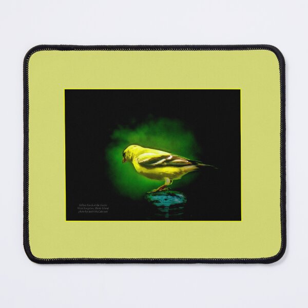 Item preview, Yellow Finch at the Feeder designed and sold by Jack McCabe.
