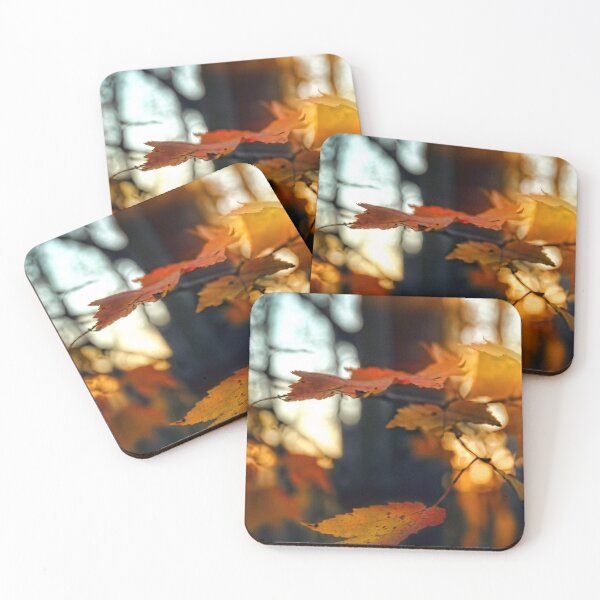 Item preview, evening light designed and sold by hdconnellyphoto.