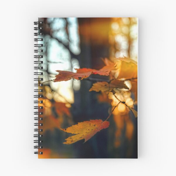Item preview, evening light designed and sold by hdconnellyphoto.