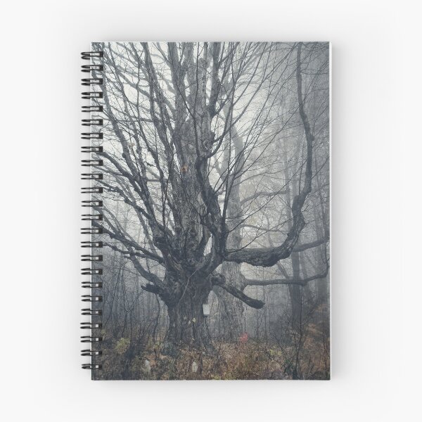 Item preview, Haunting designed and sold by hdconnellyphoto.