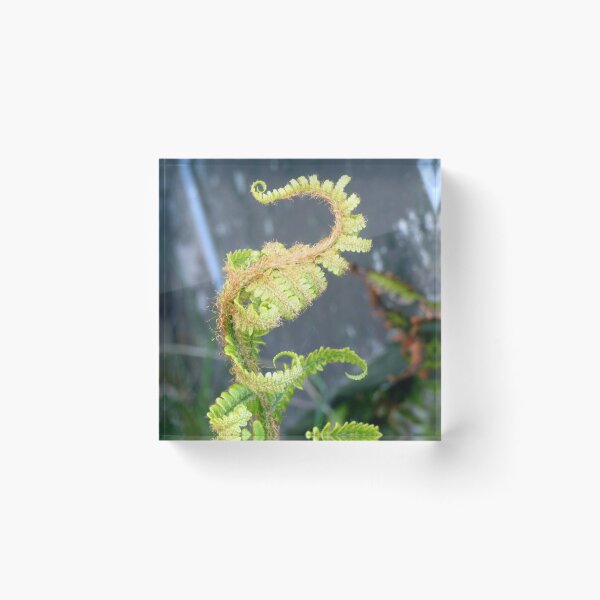 Artikelvorschau, fern entworfen und verkauft von KathleenDawson.