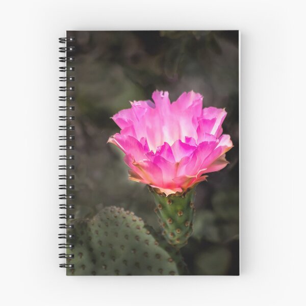 Item preview, Pink Opuntia Flower designed and sold by Art in Nature.