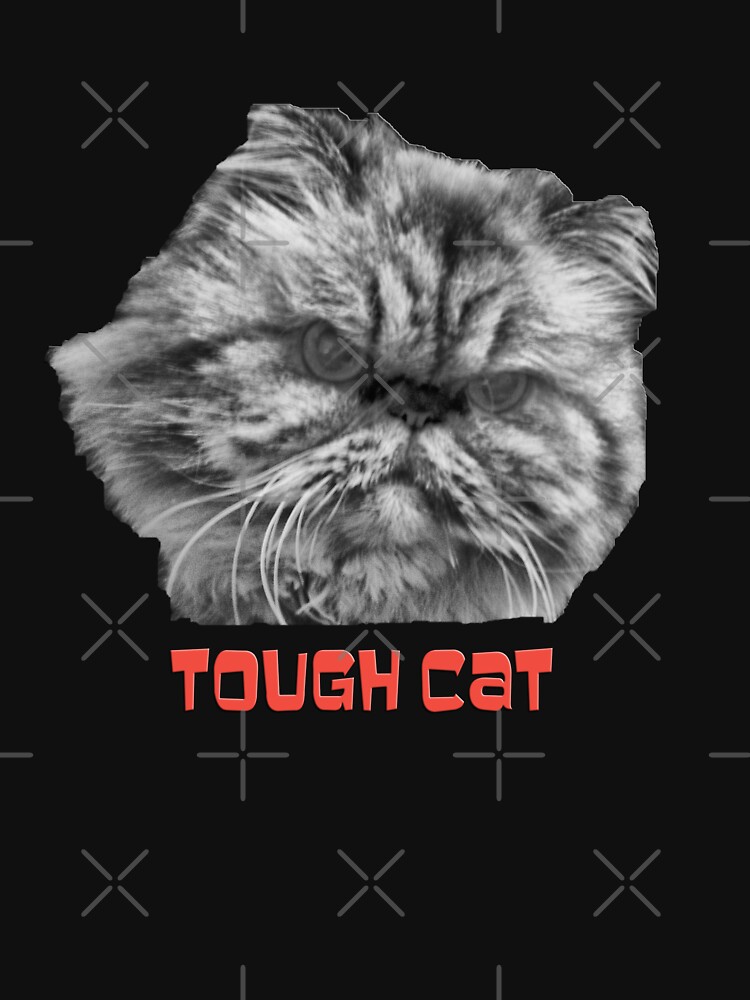 Tough Cat by photorolandi