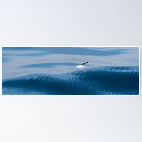 Item preview, Dynamic Flight over the Waves designed and sold by James Stone Photography.