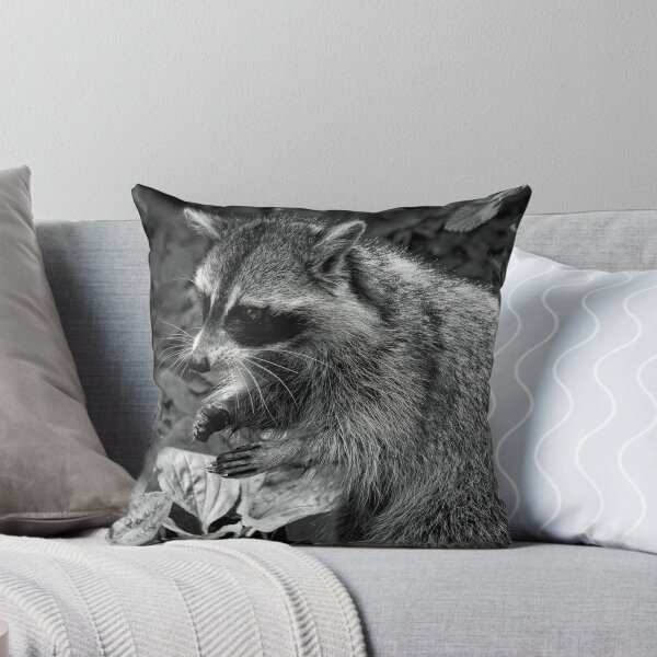 Aperçu de l'œuvre Monochrome Raccoon créée et vendue par Thymely.