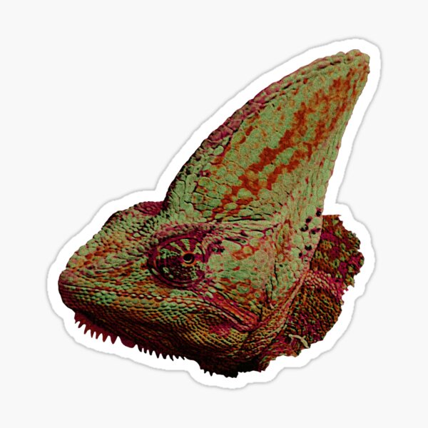 Chameleon head, reptile designs, reptile casual wear Sticker