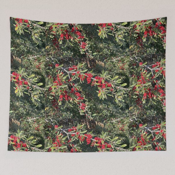 Item preview, Berry Bushes designed and sold by Connor Thomson.
