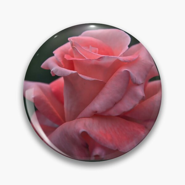 Item preview, The Unfolding Of A Pink Rose Bud designed and sold by KirtTisdale.