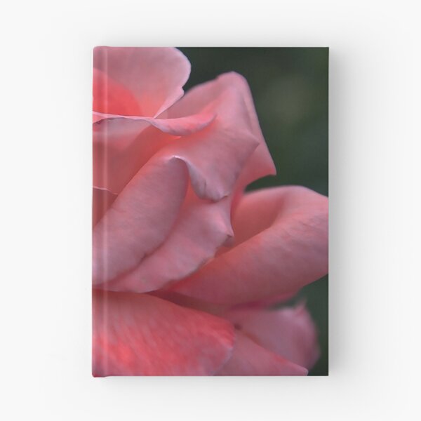 Item preview, The Unfolding Of A Pink Rose Bud designed and sold by KirtTisdale.