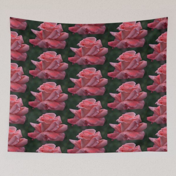 Item preview, The Unfolding Of A Pink Rose Bud designed and sold by KirtTisdale.