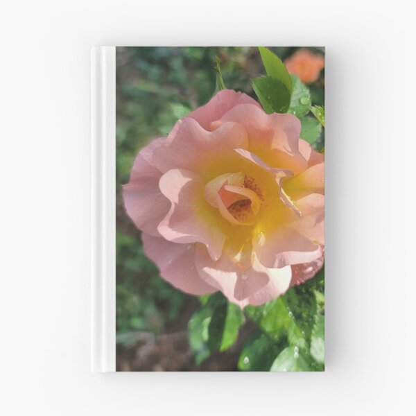 Aperçu de l'œuvre Peach colored rose créée et vendue par David D. Shaw.
