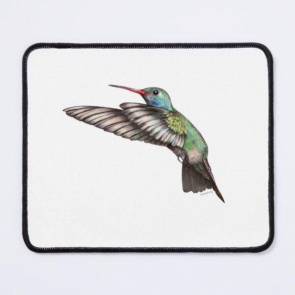 Item preview, Broad-billed Hummingbird designed and sold by eucamus.